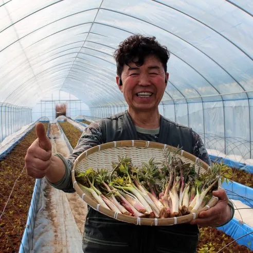 땅두릅 산지직송