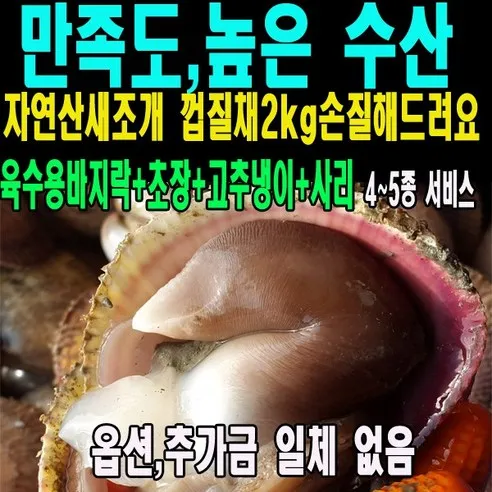 남당리 새조개 남당항새조개 껍질채2kg손질해드려요(3~4종서비스), 400g~500g, 1개