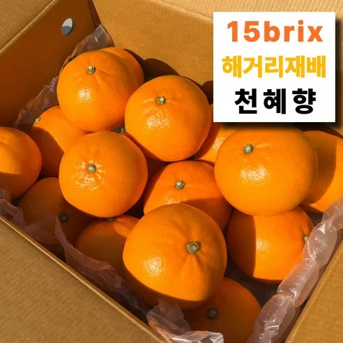 [15brix 제주천혜향] 당도선별 천혜향 가정용, 3kg, 1박스