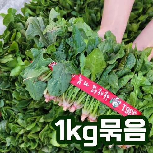 새벽수확발송 비진도 노지 시금치 1kg(2.5단정도) 2kg(5단정도), 비진도 노지 시금치..., 1개