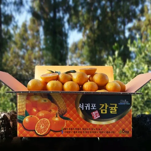 귤담원 제주 제철 감귤, 02.감귤 3kg ..., 1박스