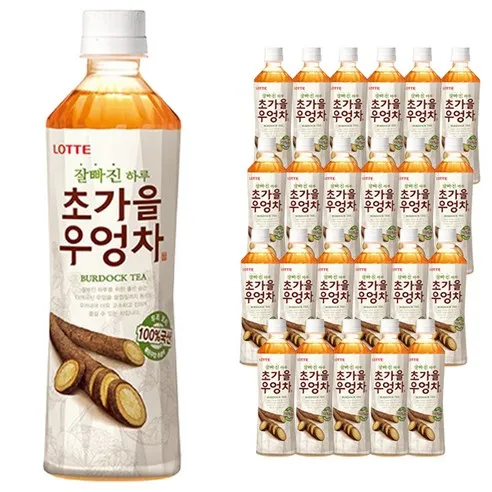 롯데칠성음료 오늘의차 초가을 우엉차, 500ml, 24개