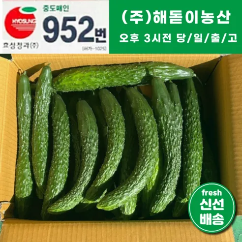 <해돋이농산> 국내산 오이 가시오이 청오이 못난이오이 3kg 5kg 10kg 내외, 2.7kg ~ 3k…, 1개”/></a></div>
<div class=