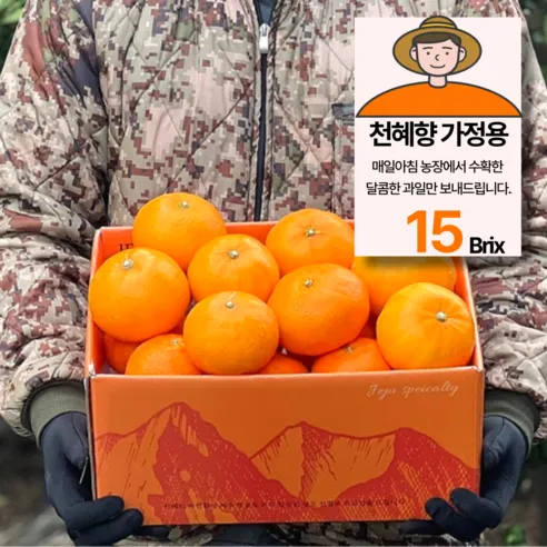 15brix 당도선별 제주 천혜향 가정용, 3kg(15과내외), 1박스